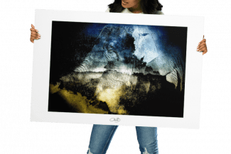 The Memories of an Elephant