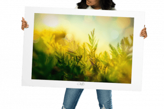 Wunder unter der Sonne